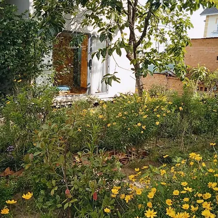 Komori House Bed & Breakfast Da Lat Exterior photo
